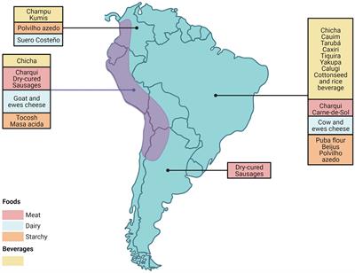 Microorganisms present in artisanal fermented food from South America